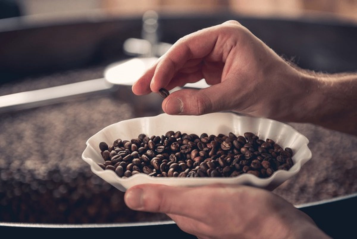 Why Single-Origin Coffee Is Gaining Popularity in 2025